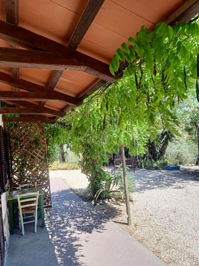 Agriturismo La Locandiera Montemerano Exterior foto